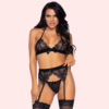Parisian Temptation Lace Bra & Garter Set - Image 4