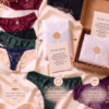 The Honeymoon Panty Affair — Luxury 5-Piece Panty Collection - Image 2